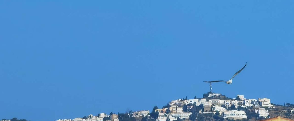 1 Dormitorio Habitaciones, ,1 BañoBathrooms,Apartamento,En venta,1057