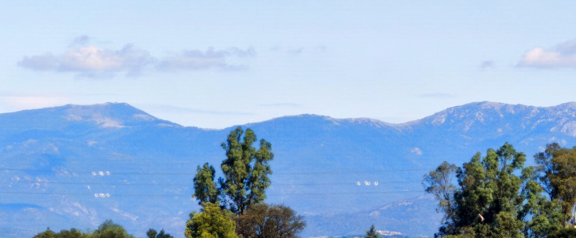 Apartamento,En venta,1060