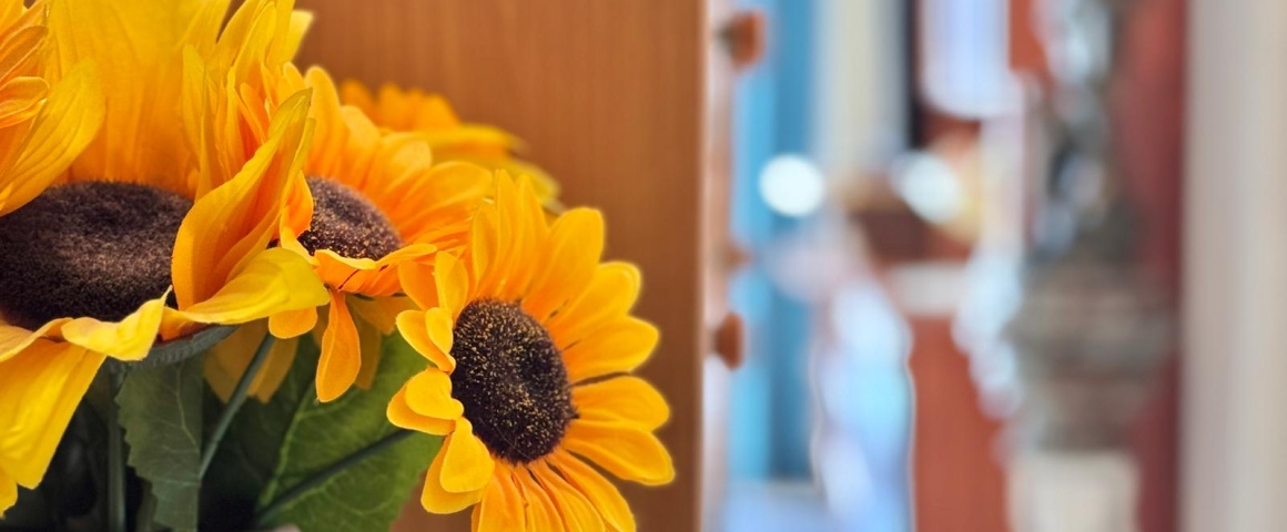 1 Dormitorio Habitaciones, ,1 BañoBathrooms,Apartamento,En venta,1062